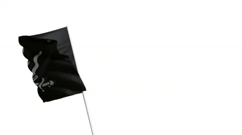 Pirate flag Vidéo 486380