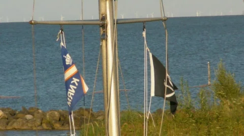 Pirate flag 库存影片 523279