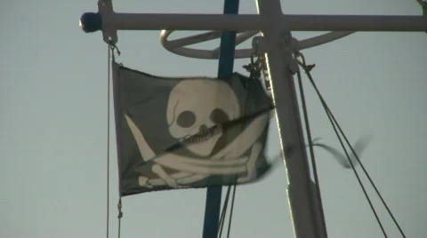 Pirate flag 스톡 동영상 681175