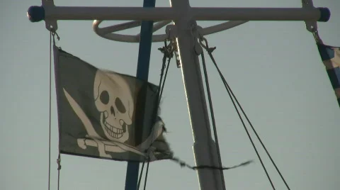 Pirate flag 스톡 동영상 683117