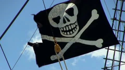 Pirate flag Stock Footage 12181919