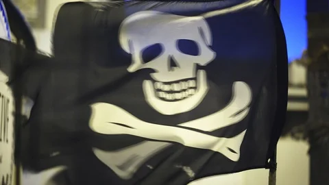 Pirate flag 動画素材 105082911