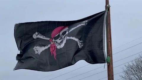 Pirate Flag Stock Footage 168615678