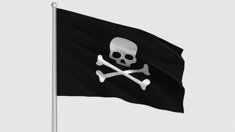 Pirate Flag Stock Footage 208956876