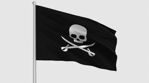 Pirate Flag Stock Footage 208957056
