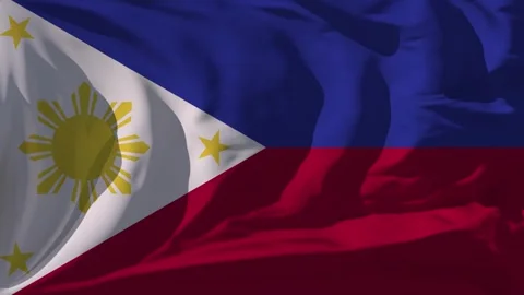 Pirate Flag Loop Stock Footage 295752635