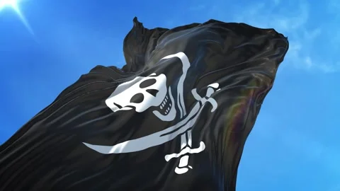 Pirate Flag Low Angle View Stock Footage 295695102