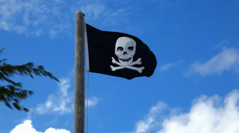 Pirate flag on the pole Stock-Footage 36719986