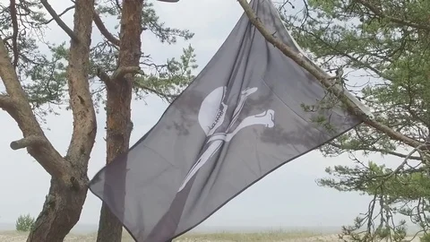 Pirate flag on the wind Stock-Footage 71595264
