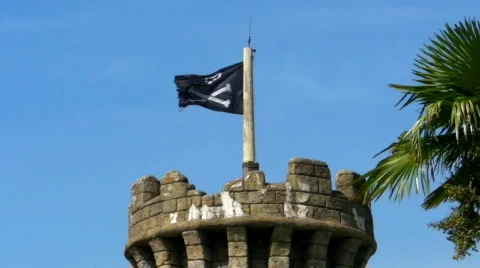 Pirate flag2 库存影片 523288