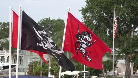 Pirate flags in the wind Stock Footage 75930372