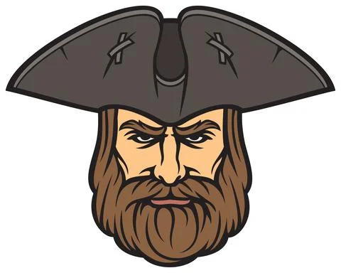 Pirate head Stock Illustration
