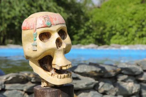 Pirate skull on a tropical island Stock Photos