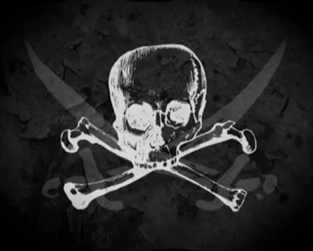 PirateFlag 库存影片 8994562