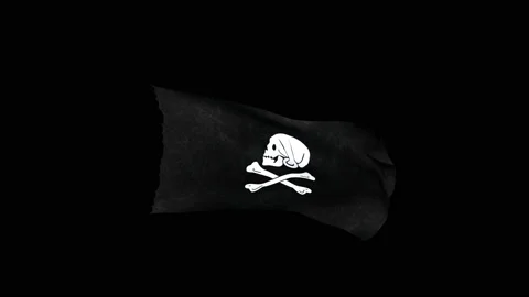 Pirates' Black Flag 1 Video stock 113960841