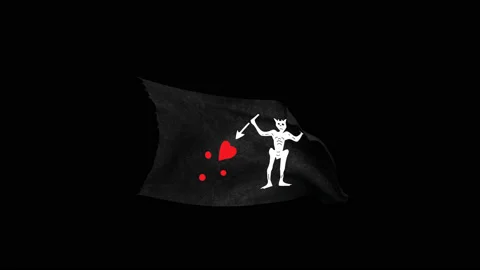 Pirates' Black Flag 3 Stock Footage 113960878