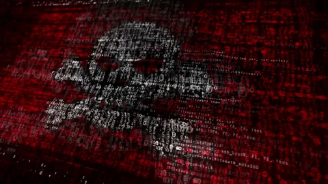 Pirates skull flag waving with security code Stock Footage 285248471