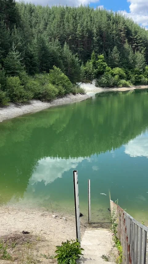 Pirin Mountain Lake with Forest Reflection, Bulgaria 스톡 동영상 315770342