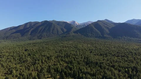 Pirin Mountain Peaks and Pine Forest Aerial View Bulgaria Stock Footage 343794486