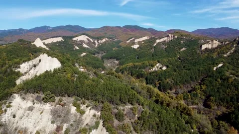Pirin Mountains Forest Flyover Stock Footage 164684439