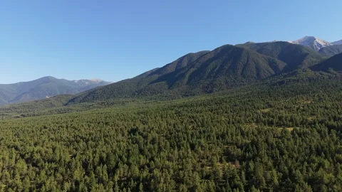 Pirin Peak and Pine Forest Bulgaria Aerial Stock Footage 343794633