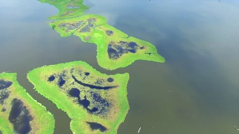 Pirogue passing by a smiley island Stock Footage 87040931