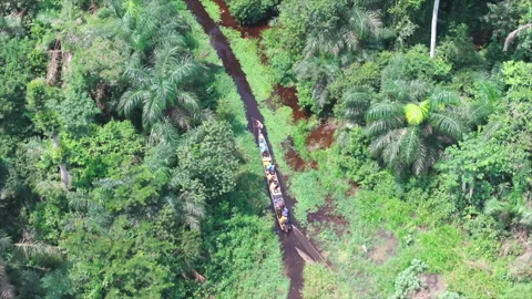 Pirogue on river surrounded by forest in Congo Stock Footage 332000250