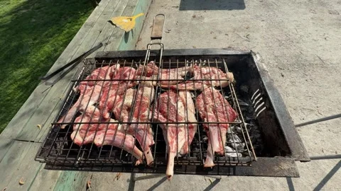Pirzola Vídeos de archivo 312727631