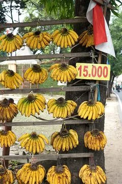 Pisang1 Stock Photos