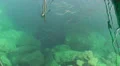 Pisces at docks in harbour basin HD Footage