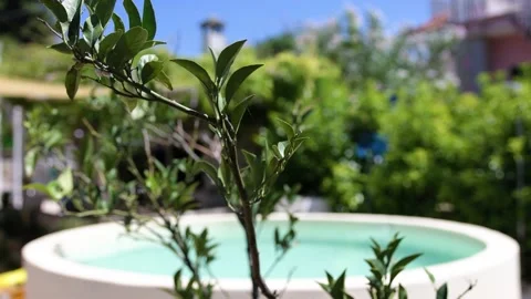 Piscina Sola 14 Video stock 141306644