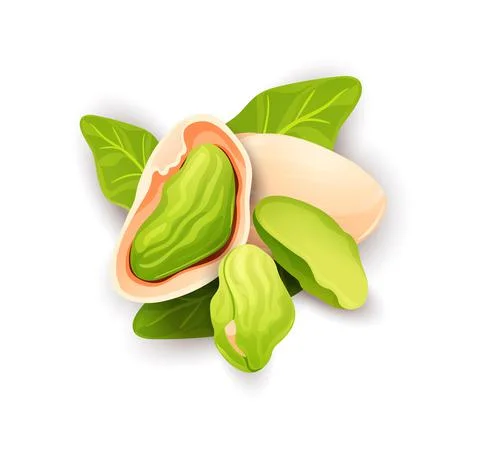 Pistache nut composition, whole and cracked nuts Stock Illustration