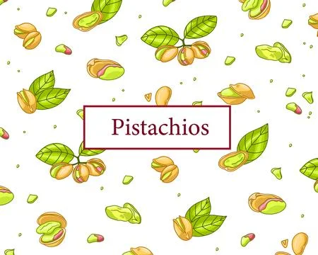 Pistachio frame rectangle menu poster Illustrazione stock