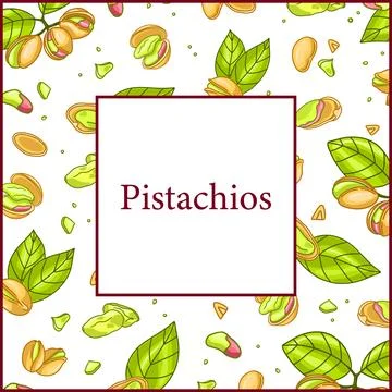 Pistachio frame square menu poster Stock Illustration
