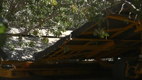 Pistachio Harvest Stock Footage 309673016