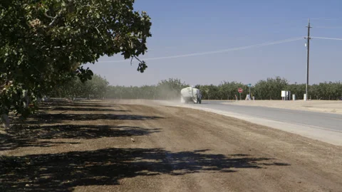 Pistachio Harvest Stock Footage 309673703