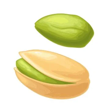 Pistachio nut with and without shell. Vector color realistic icon. Illustrazione stock