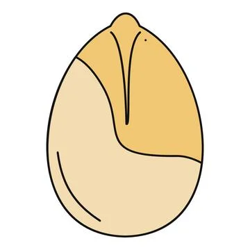 Pistachio nut cracked shell showing seed line art Stock Illustration
