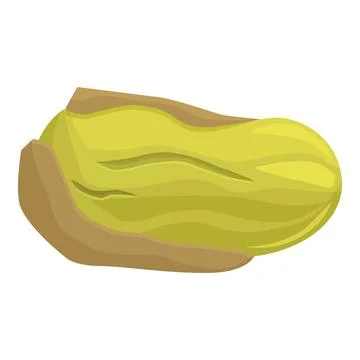 Pistachio nut with open shell lying horizontally Stock Illustration