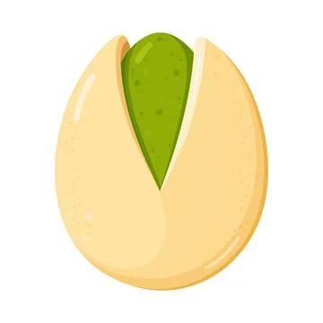 Pistachio nut with opening shell showing green seed Stock Illustration