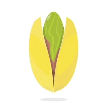 Pistachio nut in the shell Illustration Stock Illustration