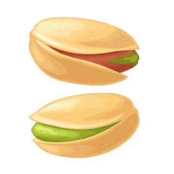 Pistachio nut in shell. Vector color realistic icon. Illustrazione stock