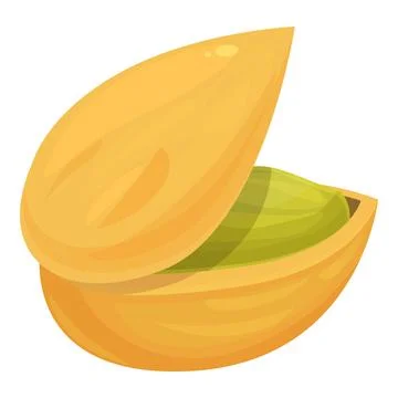 Pistachio nut showing seed inside shell Stock Illustration