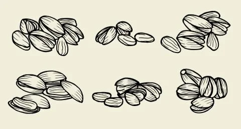 Pistachio nuts and kernels. Stock Illustration