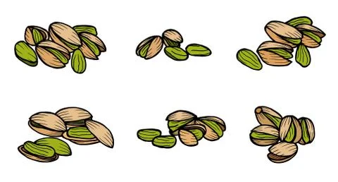 Pistachio nuts and kernels. Stock Illustration