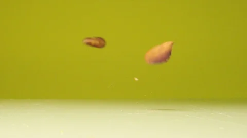 Pistachio Nuts Falling in Macro Extreme Slow Motion Video stock 126707402