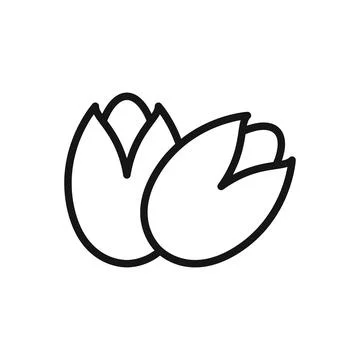 Pistachio nuts icon in flat outline stroke style. Healthy snack vector illu.. Stock Illustration
