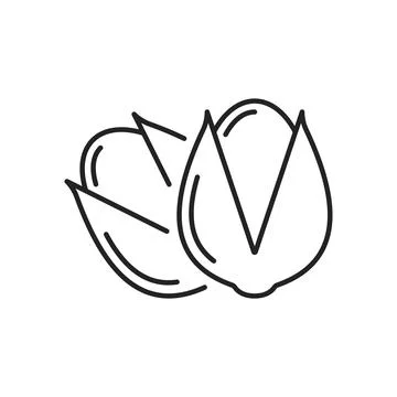 Pistachio nuts icon in flat outline stroke style. Healthy snack vector illu.. Stock Illustration