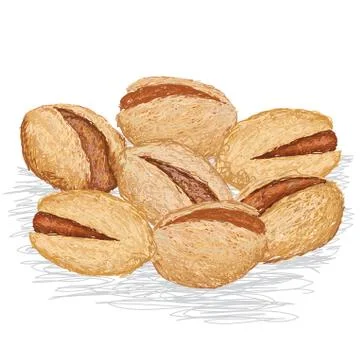 Pistachio nuts Stock Illustration
