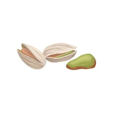 Pistachio nuts one peeled kernel, two in hard shell. Objects for product packing Stock Illustration